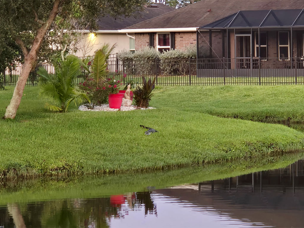 Gator Alert